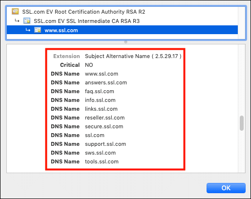 Certificate with multiple SAN entries