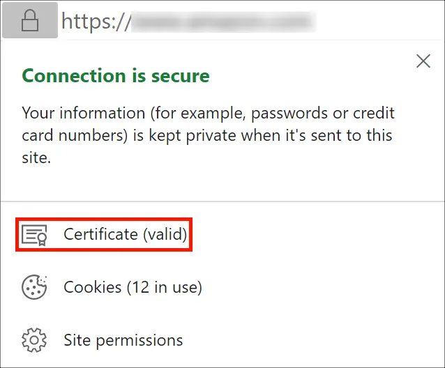 OV certificate in Google Chrome